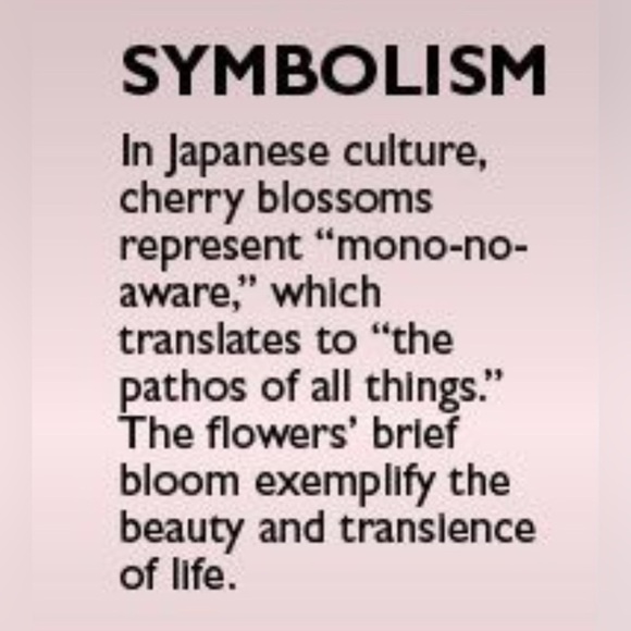 Bohemian Sakura Blossom Seashell Carved Pendant 18K Gold Beaded Chain Necklace - Picture 7 of 8